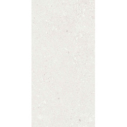 Ergon Grain Stone Rough White 60x120 Tecnica Rett. Gat.1
