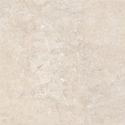 CERCOM Everstone - Everwhite 100x100 Nat. 8,5mm Rett.